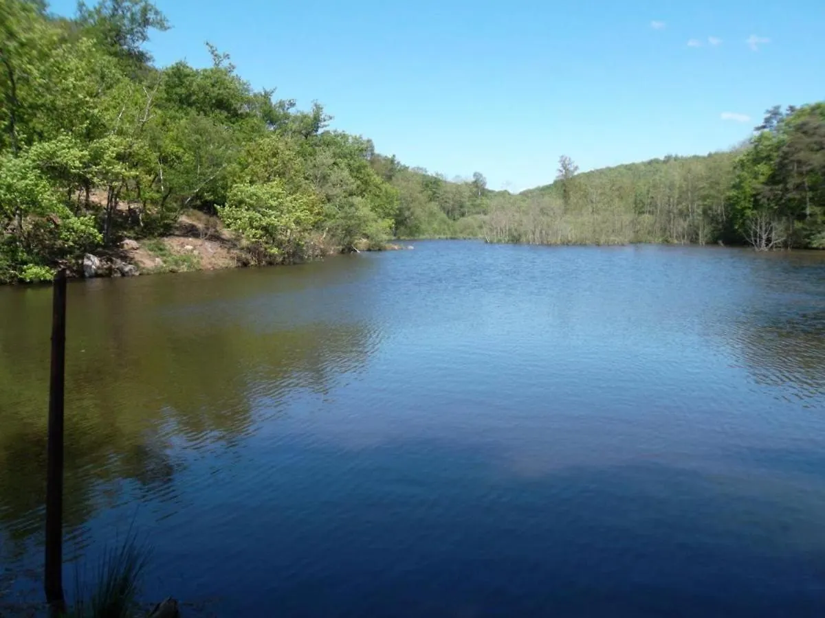 Gite Familial Avec Peche, Cascade, Animaux Et Activites Variees, Proche De Vichy Et Le Pal - Fr-1-489-122 Barrais-Bussolles Holiday home
