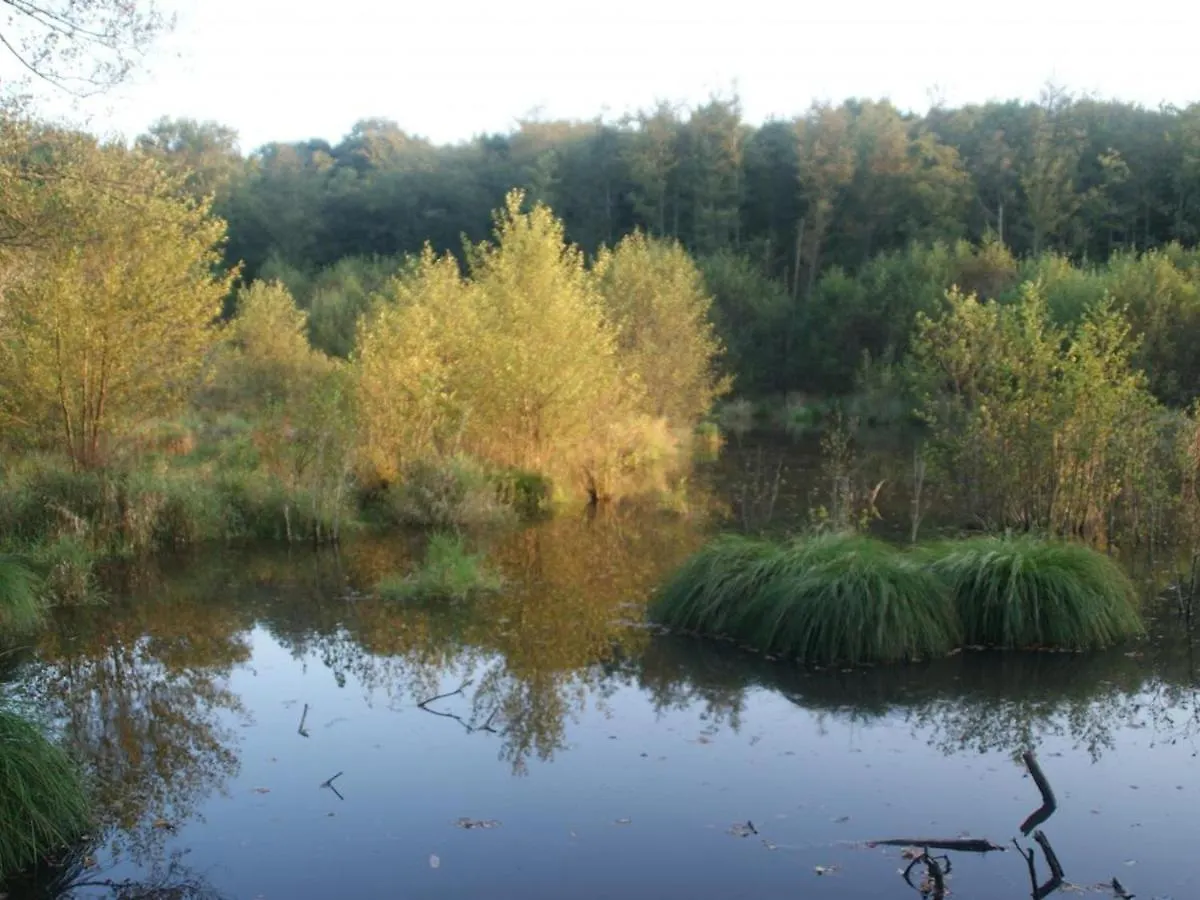 Gite Familial Avec Peche, Cascade, Animaux Et Activites Variees, Proche De Vichy Et Le Pal - Fr-1-489-122 Barrais-Bussolles 0*,