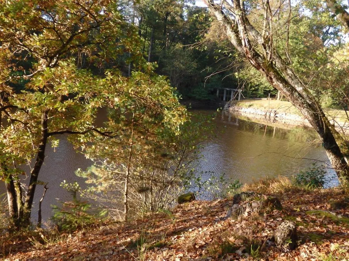 Gite Familial Avec Peche, Cascade, Animaux Et Activites Variees, Proche De Vichy Et Le Pal - Fr-1-489-122 Barrais-Bussolles